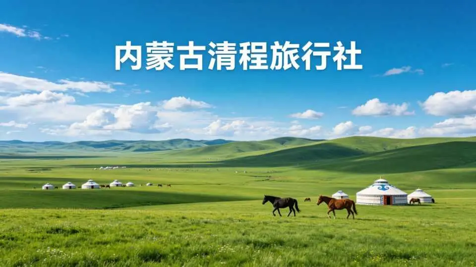 联系我们