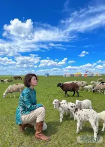内蒙古旅游七日游真实花费曝光！2026最新行程+避坑全攻略