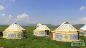 避开人潮去错峰过秋天!呼伦贝尔大草原金秋摄影路线与小众打卡点指南
